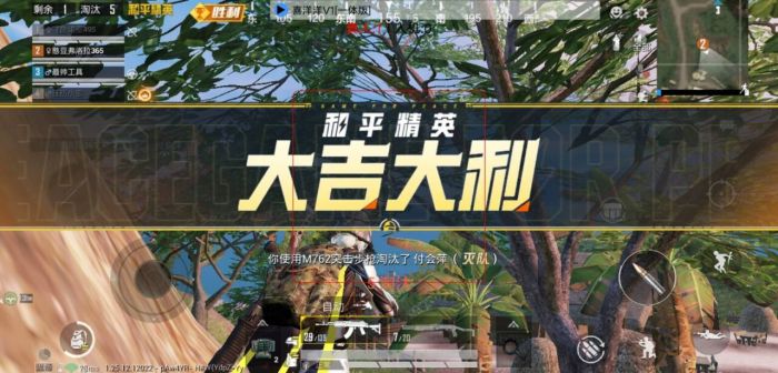 和平精英怎么下载刺客辅助（和平精英怎么下辅助器）